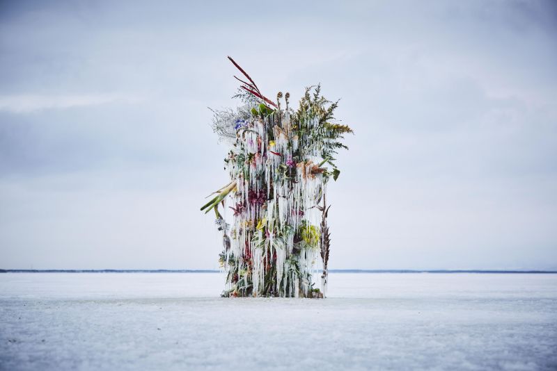 tác phẩm sắp đặt hoa trong băng của người Nhật